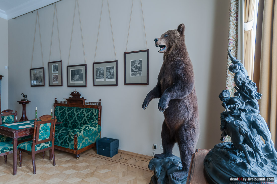 усадьба Асеевых, г. Тамбов, интерьеры главного дома