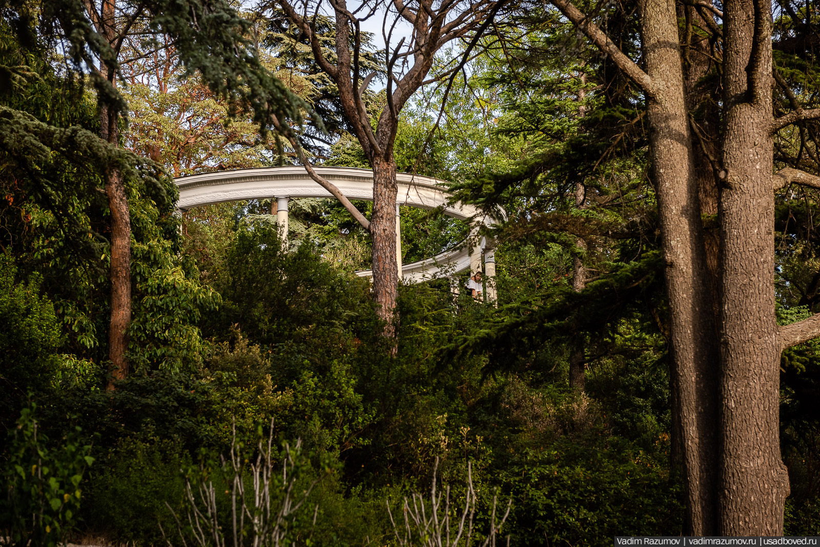 Никитский ботанический сад