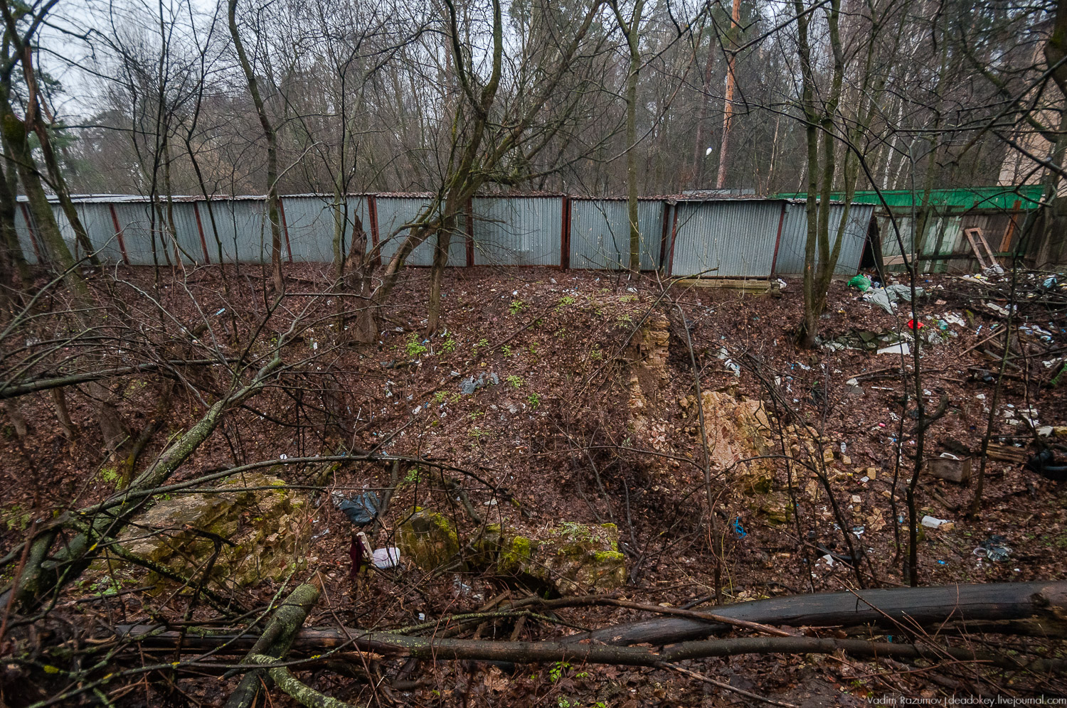 усадьба Петрово (Дурнево, Петрово-Дальнее), Красногорский район, Московская область