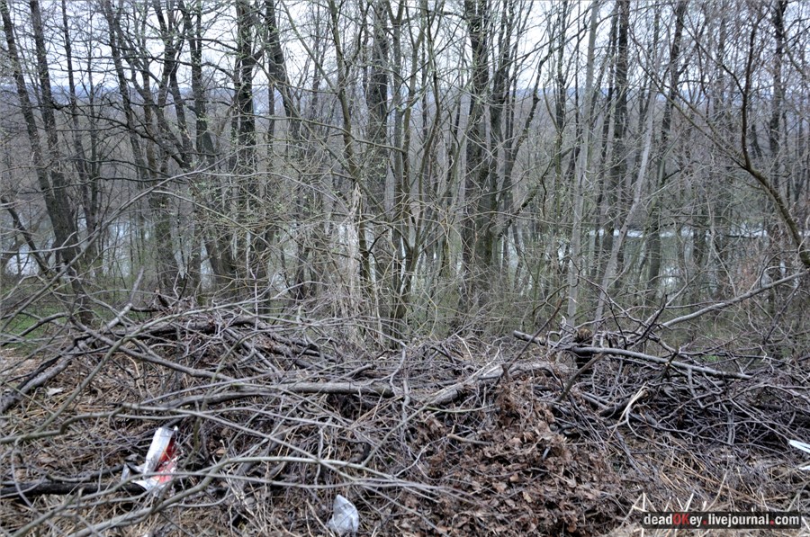 усадьба Городня