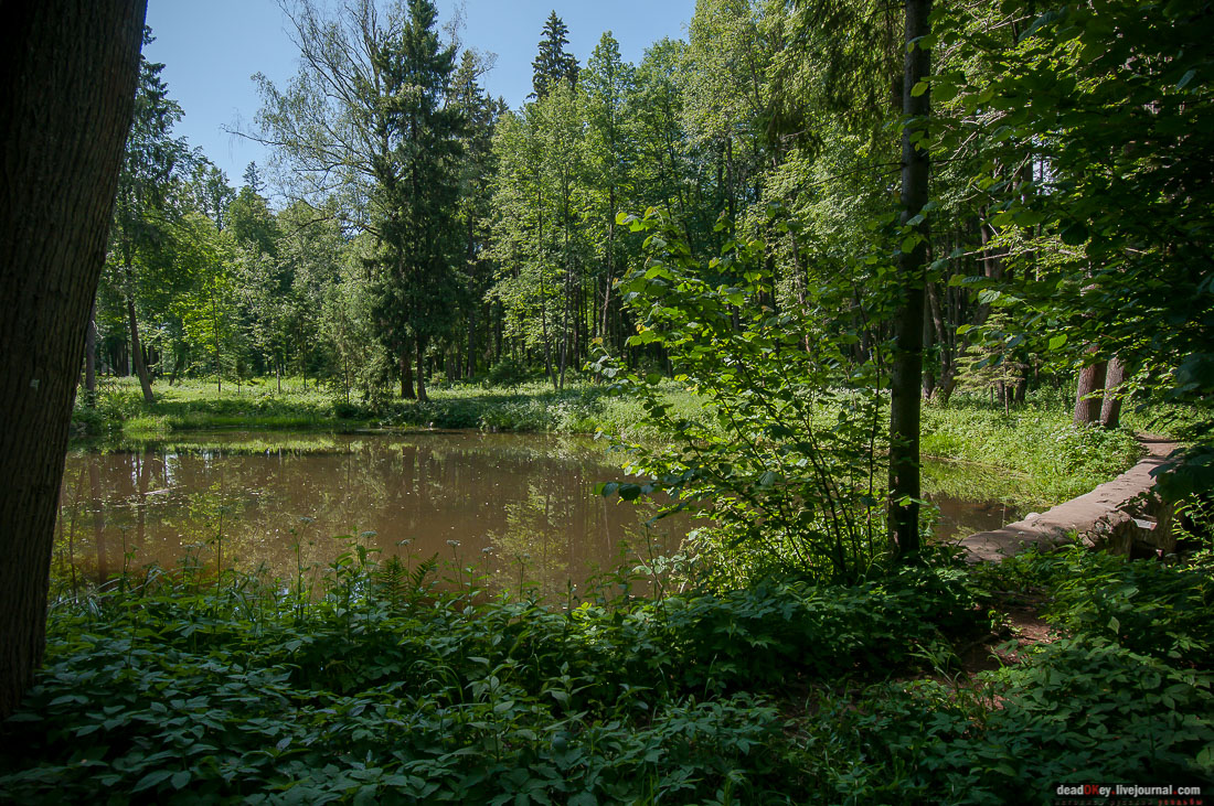 усадьба Знаменское-Раек, Тверская область, Новоторжский район