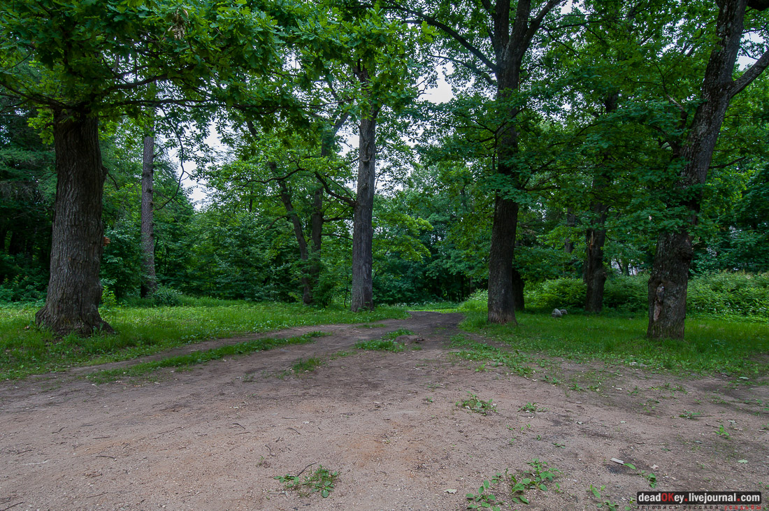 усадьба Никольское-Черенчицы