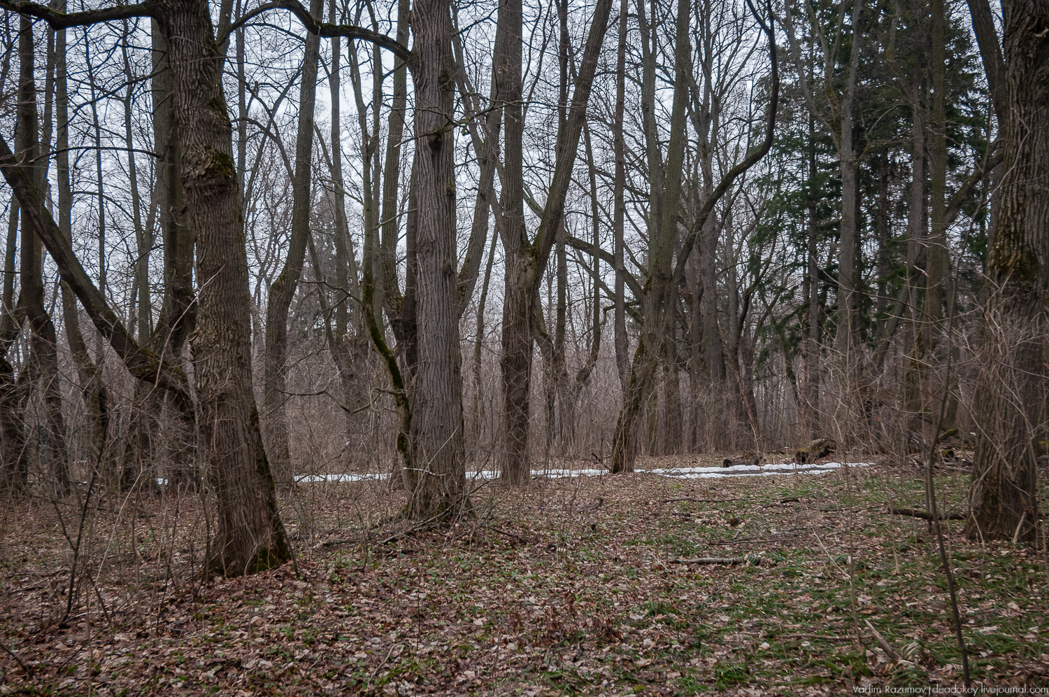 Усадьба Сенницы