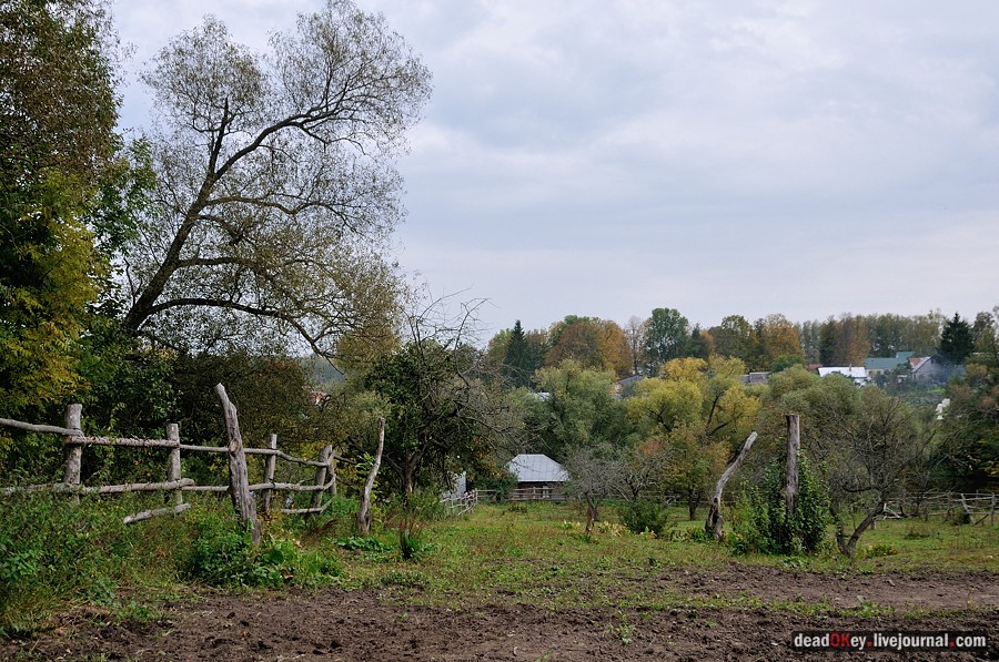 усадьба Ясная Поляна