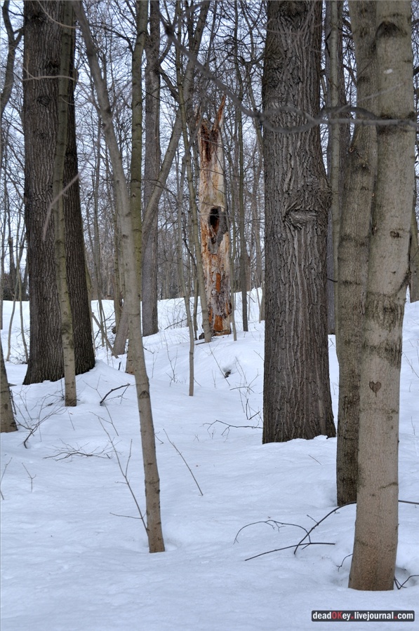 усадьба Райки