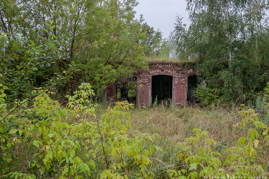 Меховицы, дом фабриканта Карпова, Чистые Росы, продается усадьба