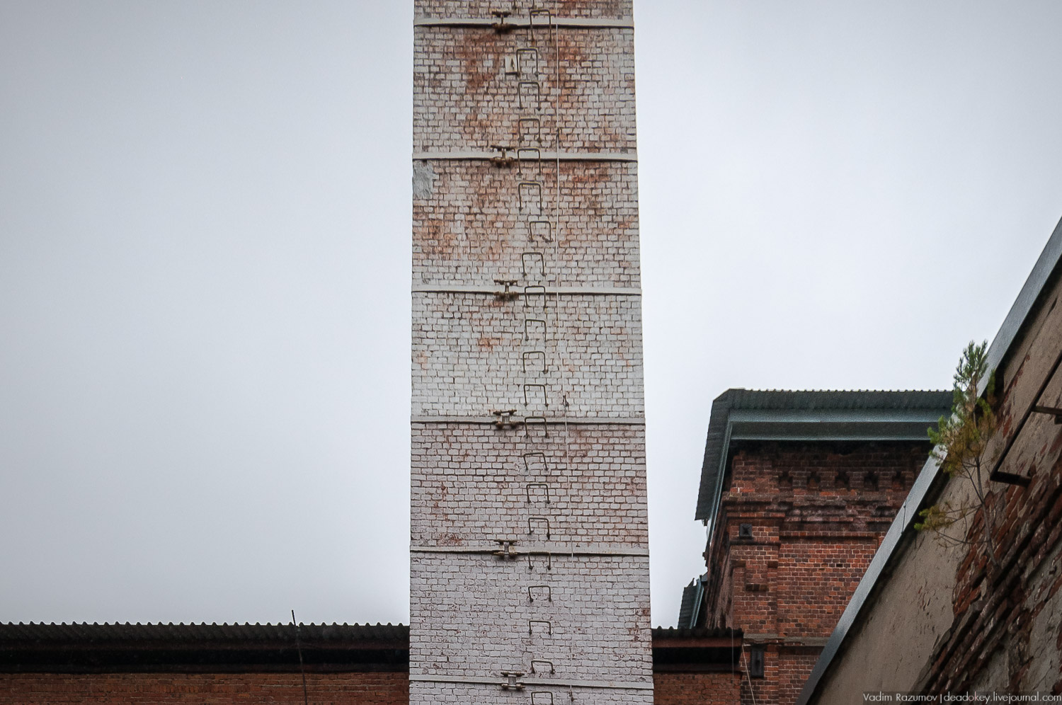 Фарфоровый завод, Вербилки