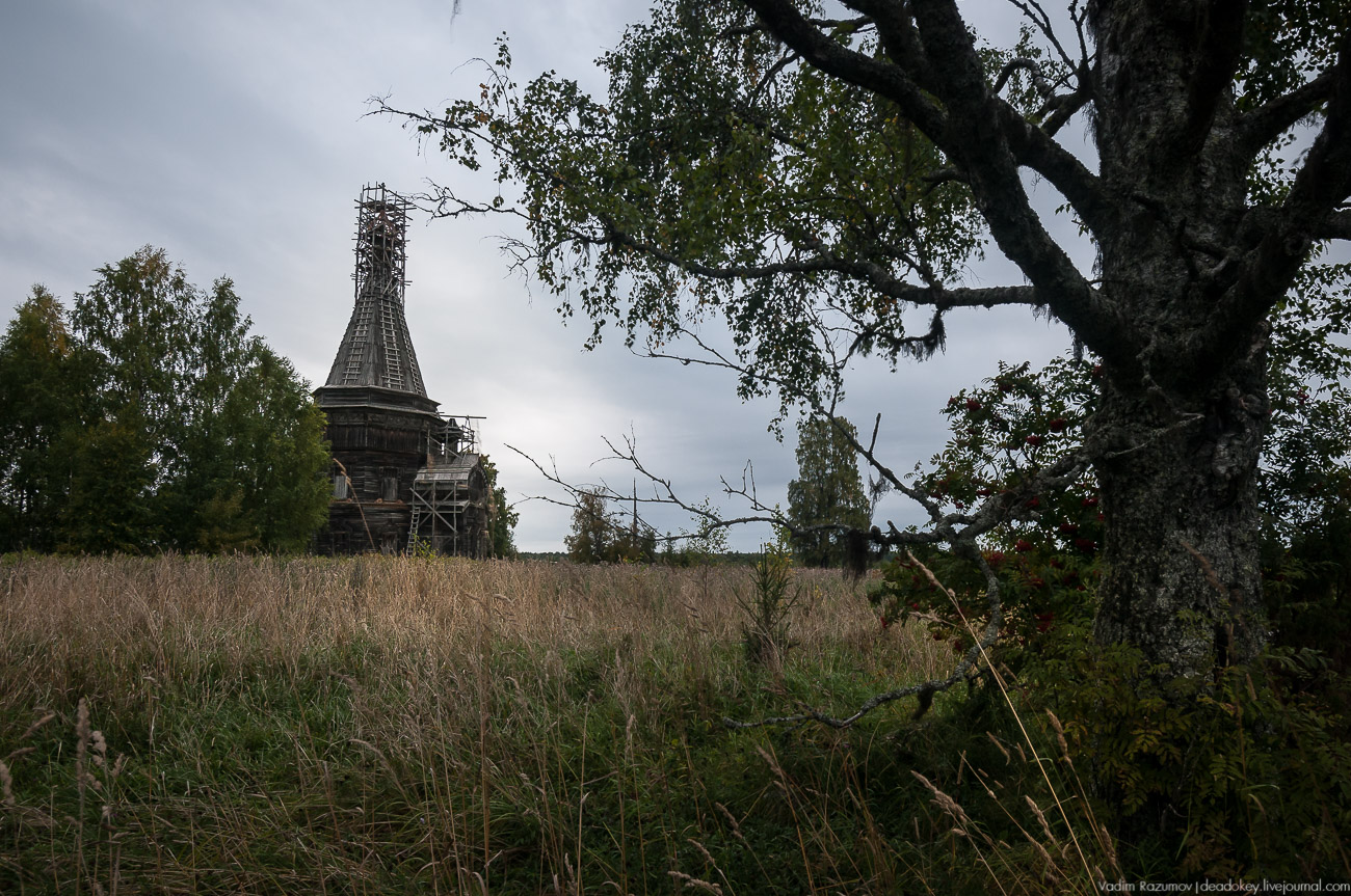 Красная Ляга, Каргопольский район, Архангельская область