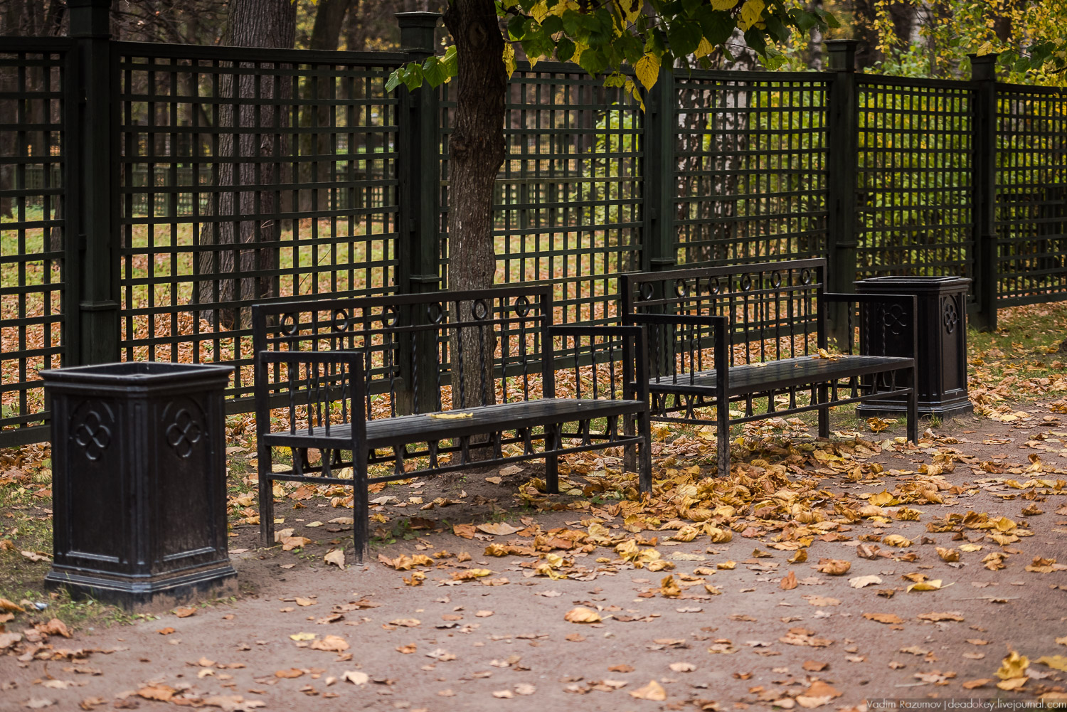 усадьба Кусково, осень 2018 года