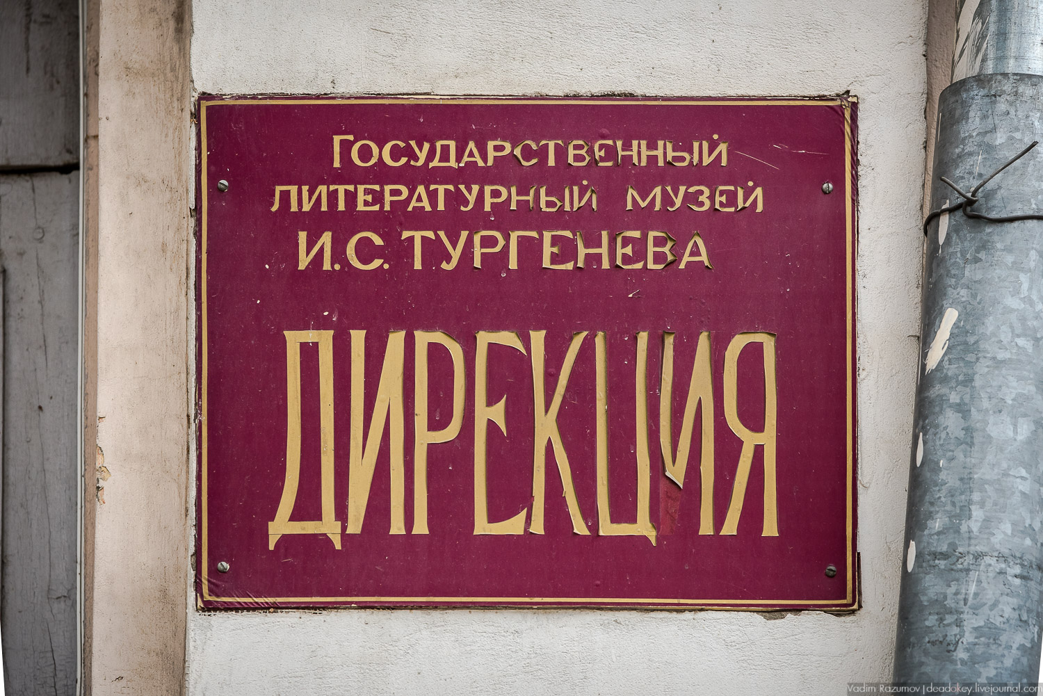 Орел литературный