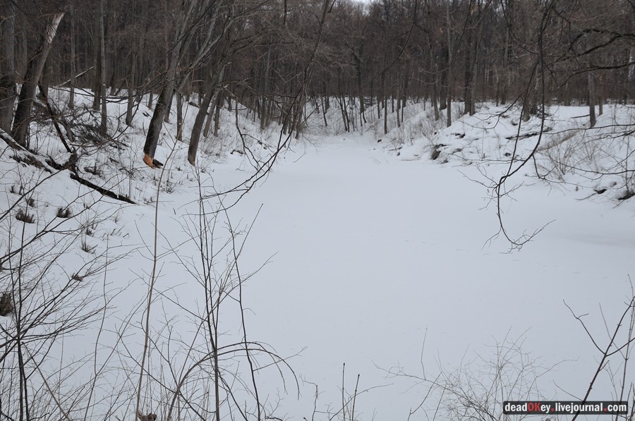 усадьба Троице-Лобаново