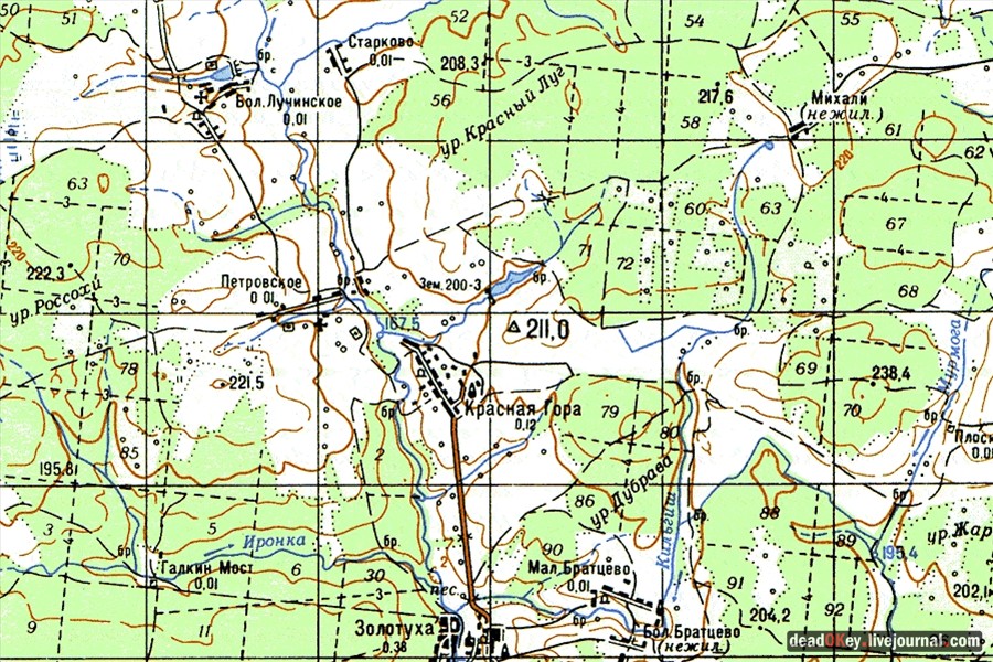 усадьба Петровское (Большепетровское)