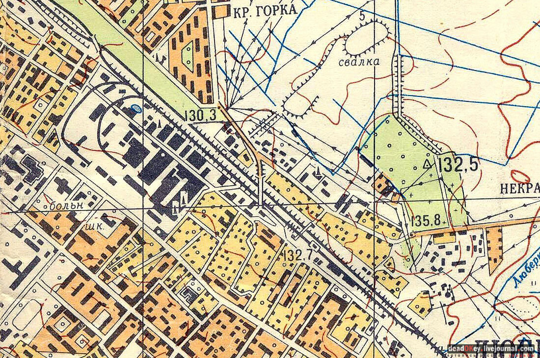 Дом Н. А. Круминга, г. Люберцы