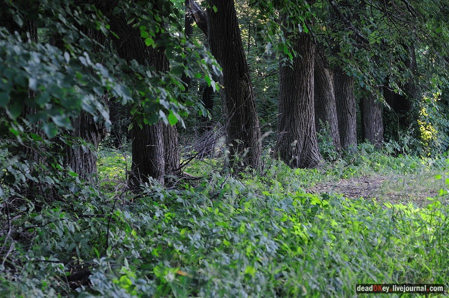 усадьба Клины