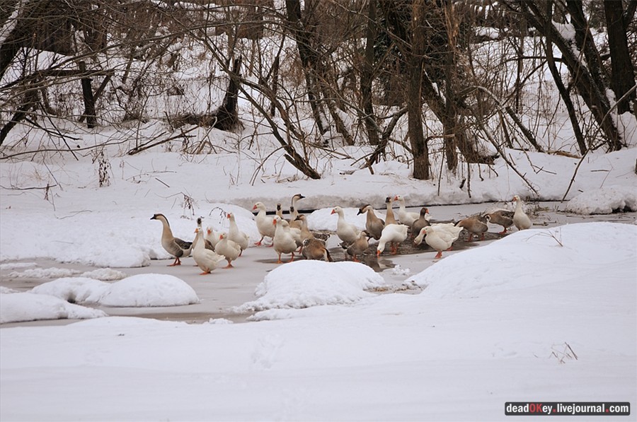 усадьба Успенское