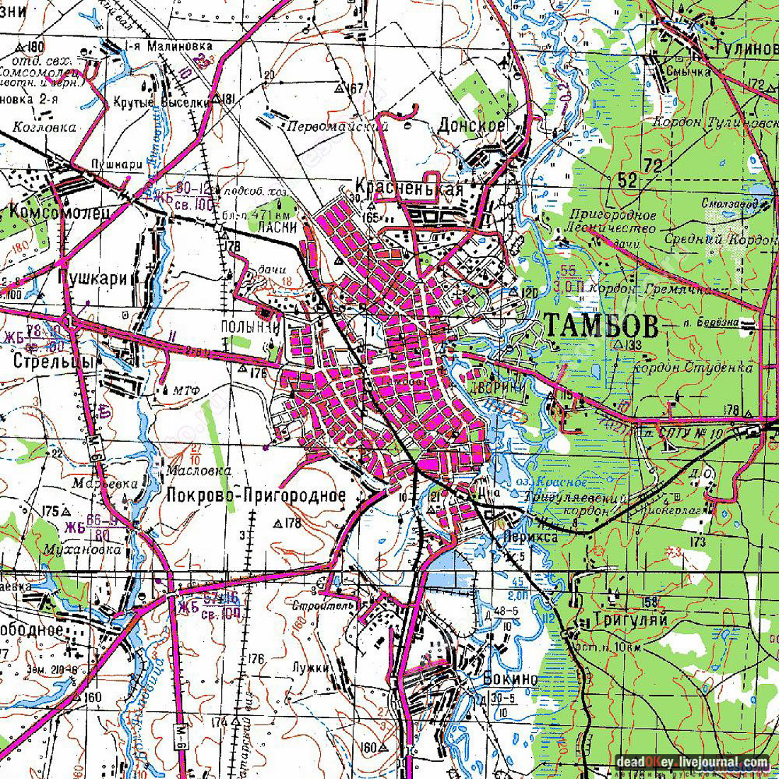 усадьба Асеевых, г.Тамбов