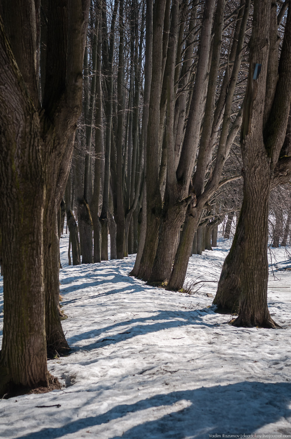 усадьба Узкое, город Москва, санаторий