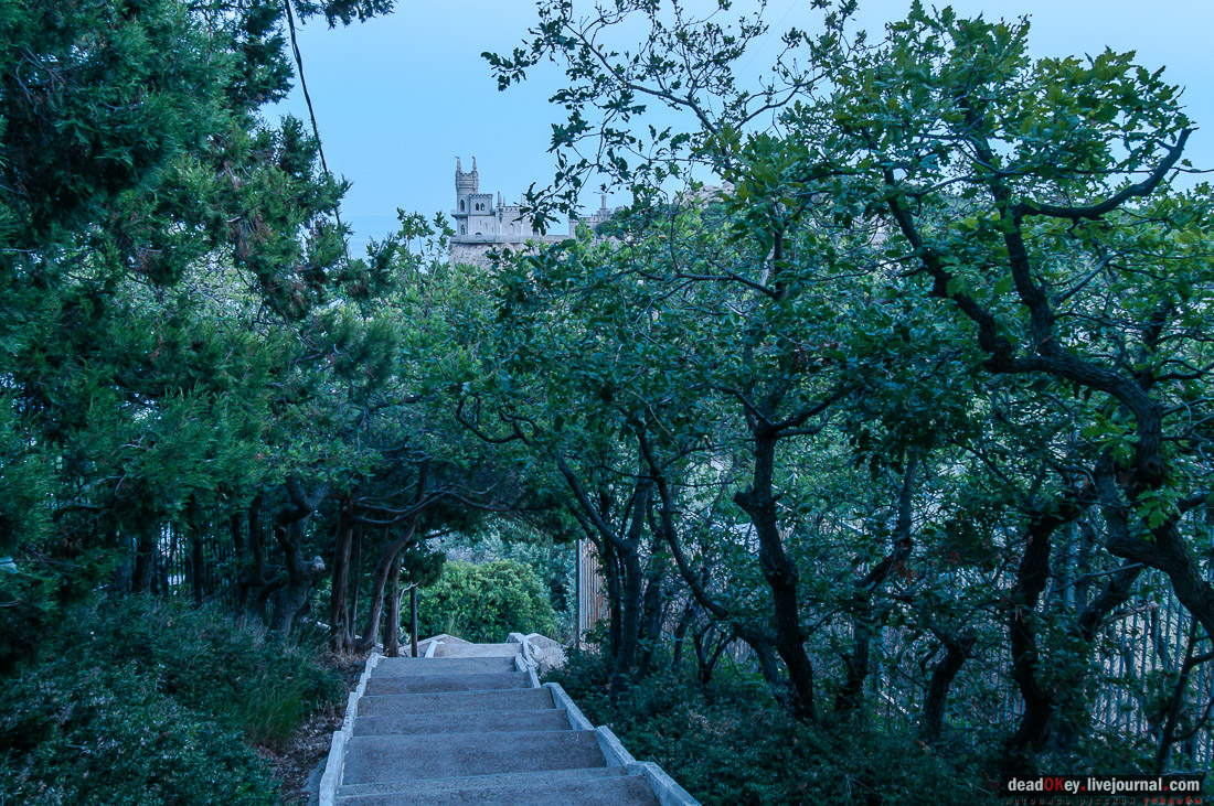 Ласточкино гнездо