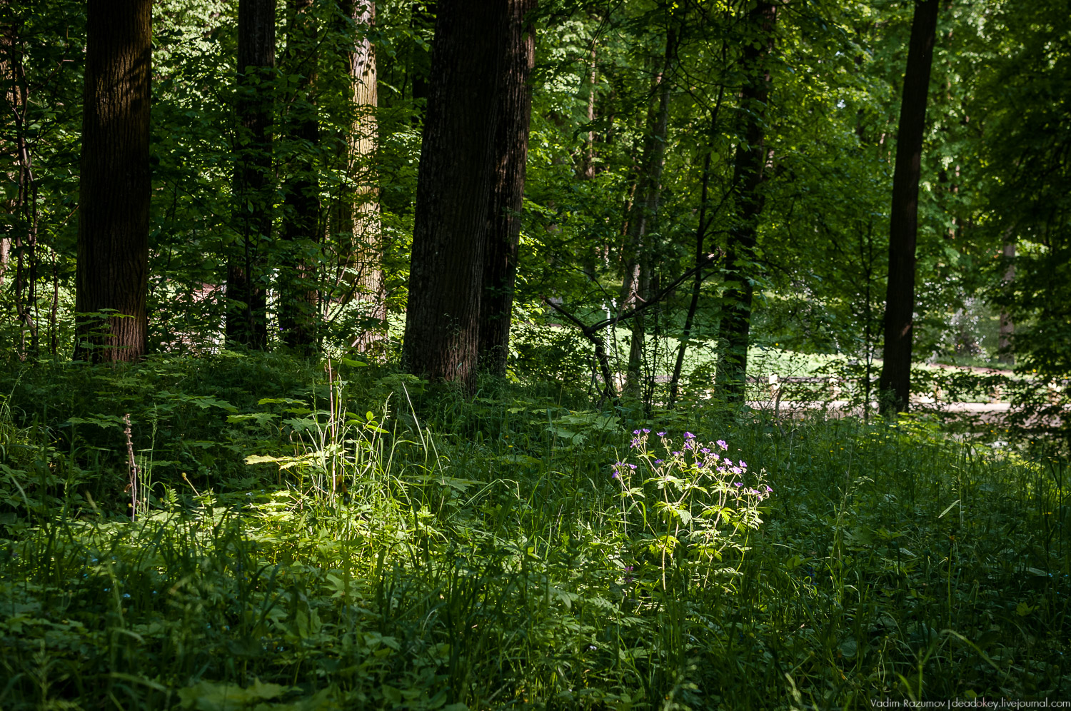 усадьба Валуево в мае