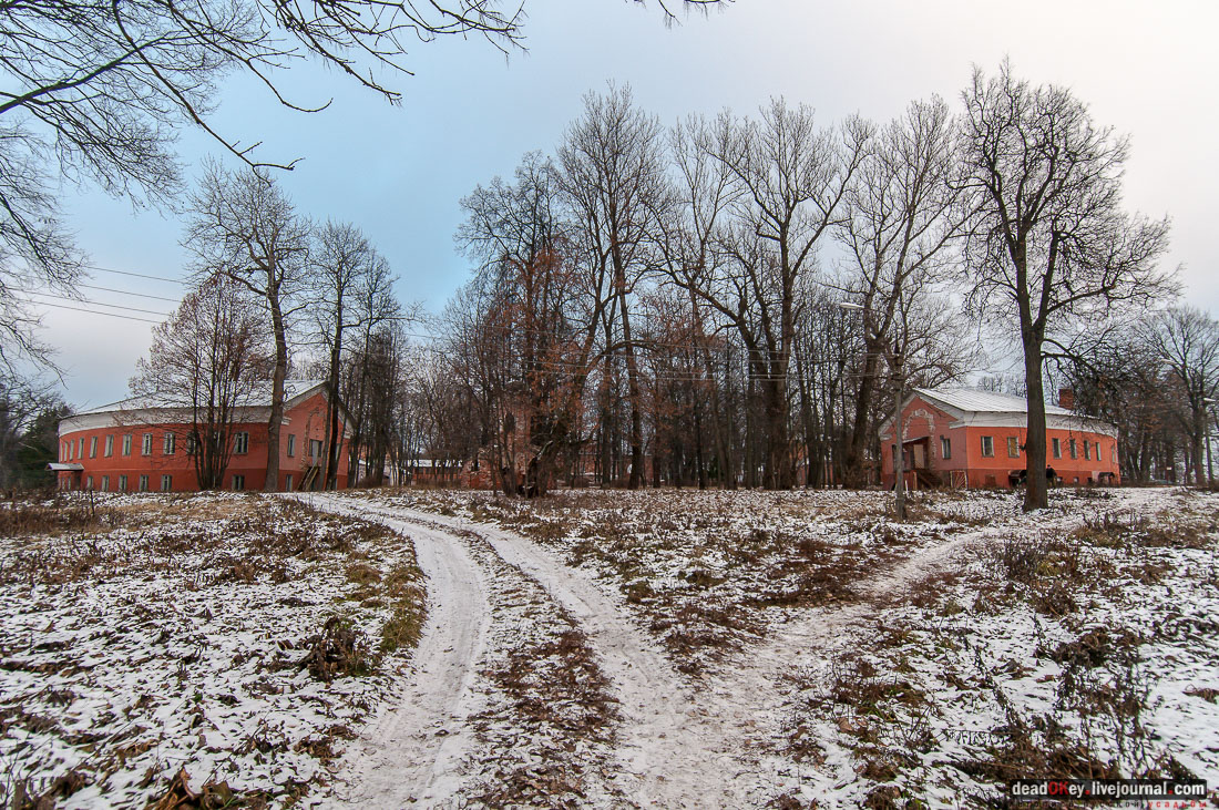 усадьба Ольгово