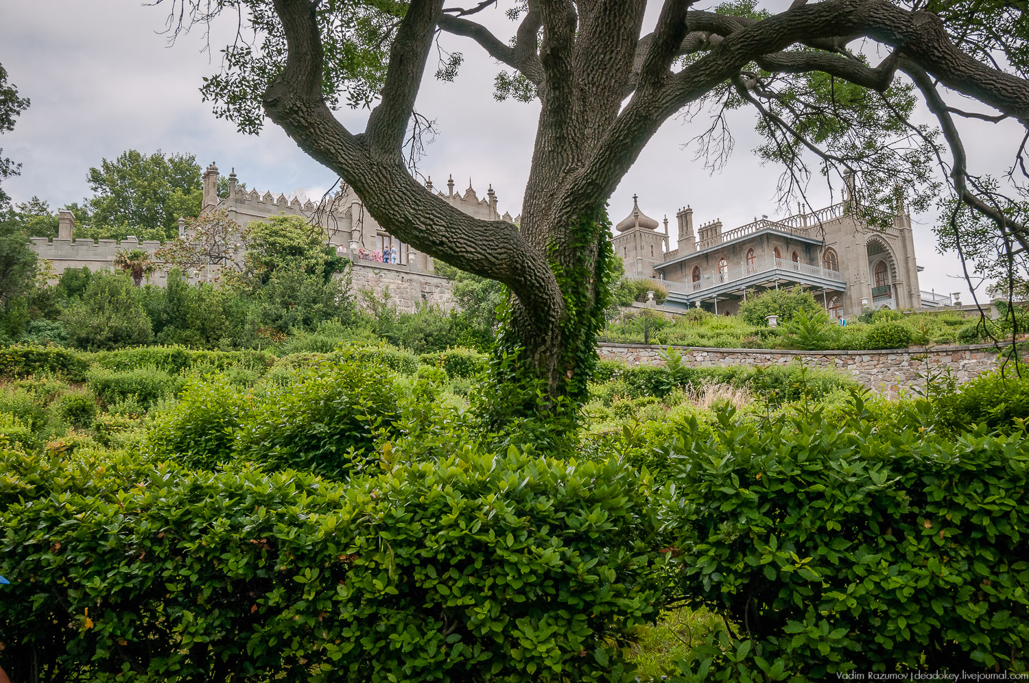 Алупка, Воронцовский дворец, Крым