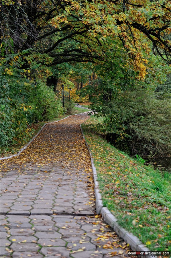 усадьба Марфино