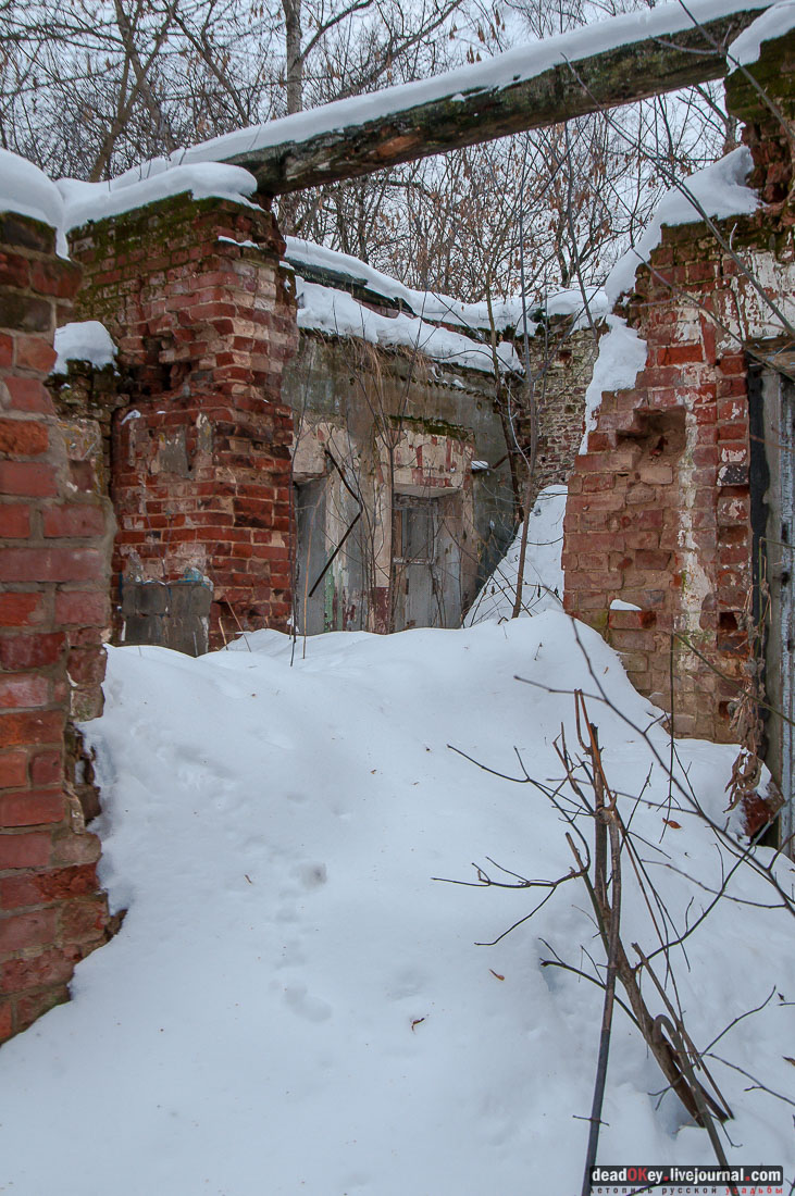 усадьба Гребнево, больничный комплекс