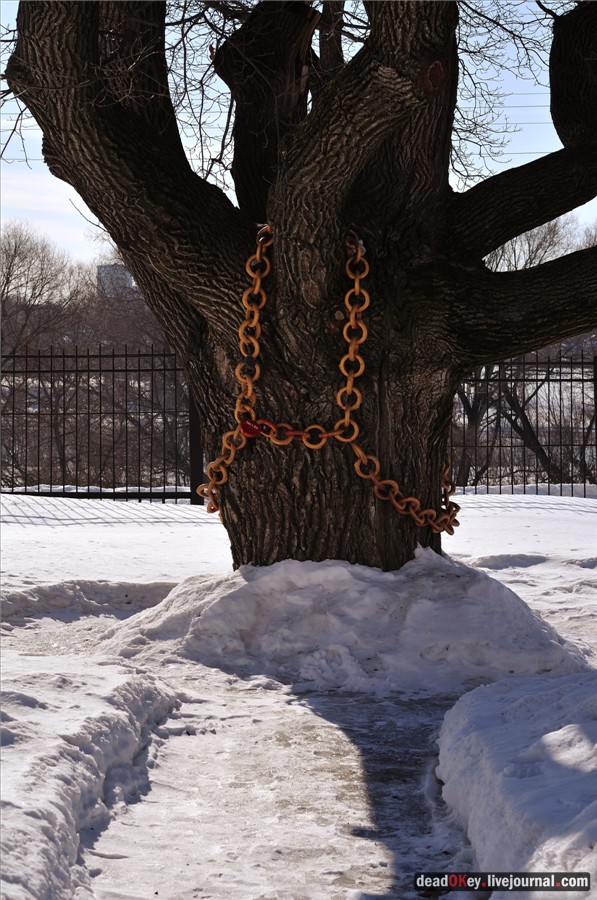 усадьба Кривякино