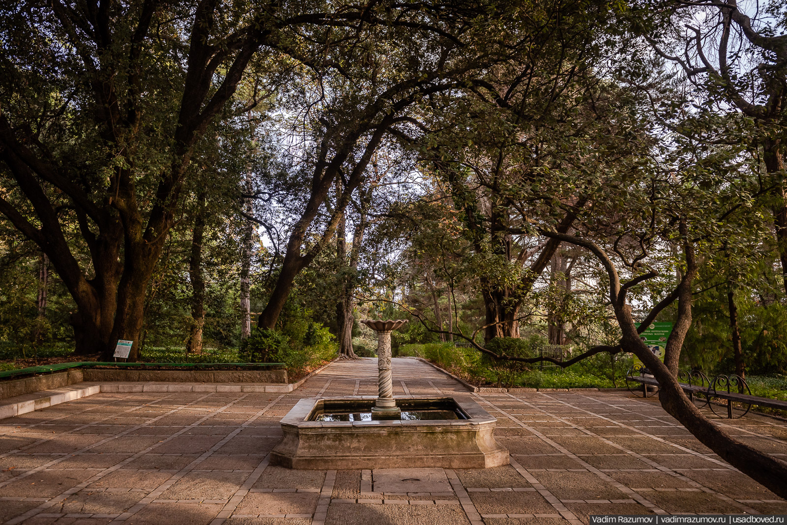 Никитский ботанический сад