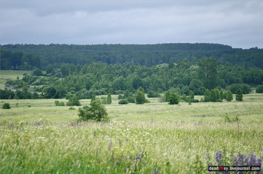 усадьба Фуникова Гора Прокудина-Горского