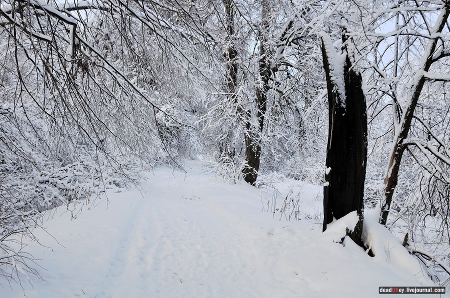 усадьба Красково