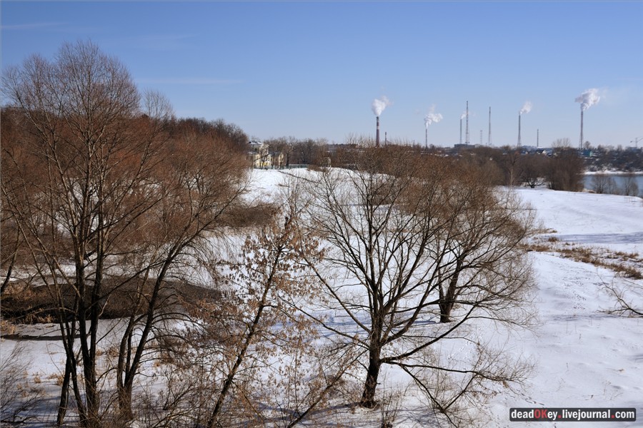 усадьба Кривякино