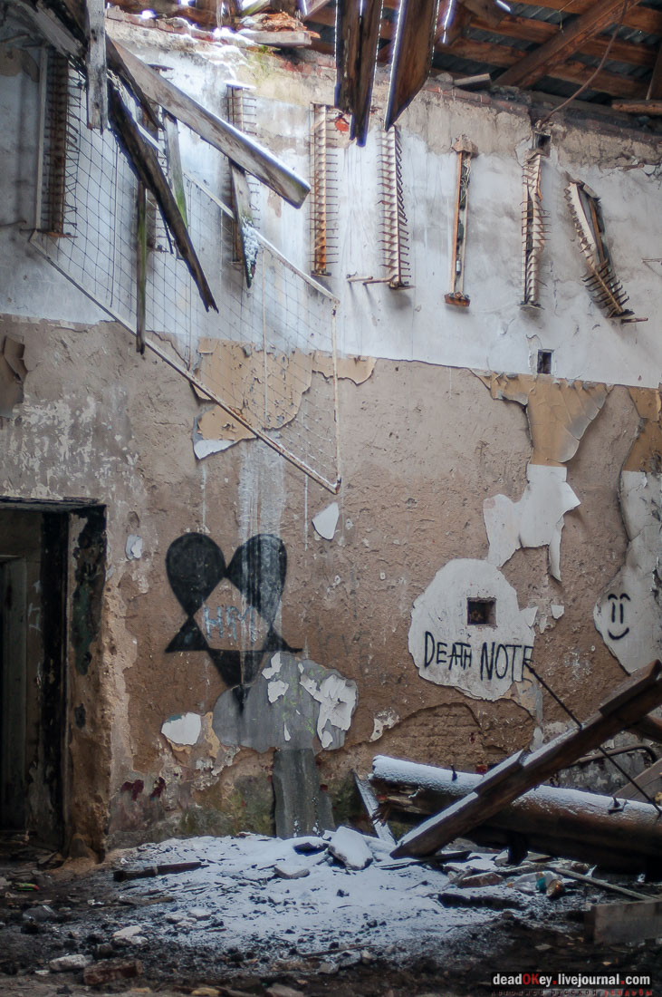 усадьба Гребнево, аукцион, съемки для телеканала Москва-24