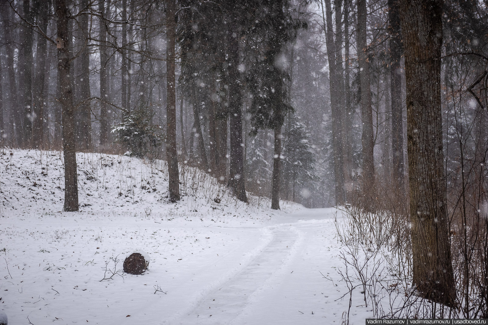 усадьба Абрамцево, 2020 год, зима, последний снег