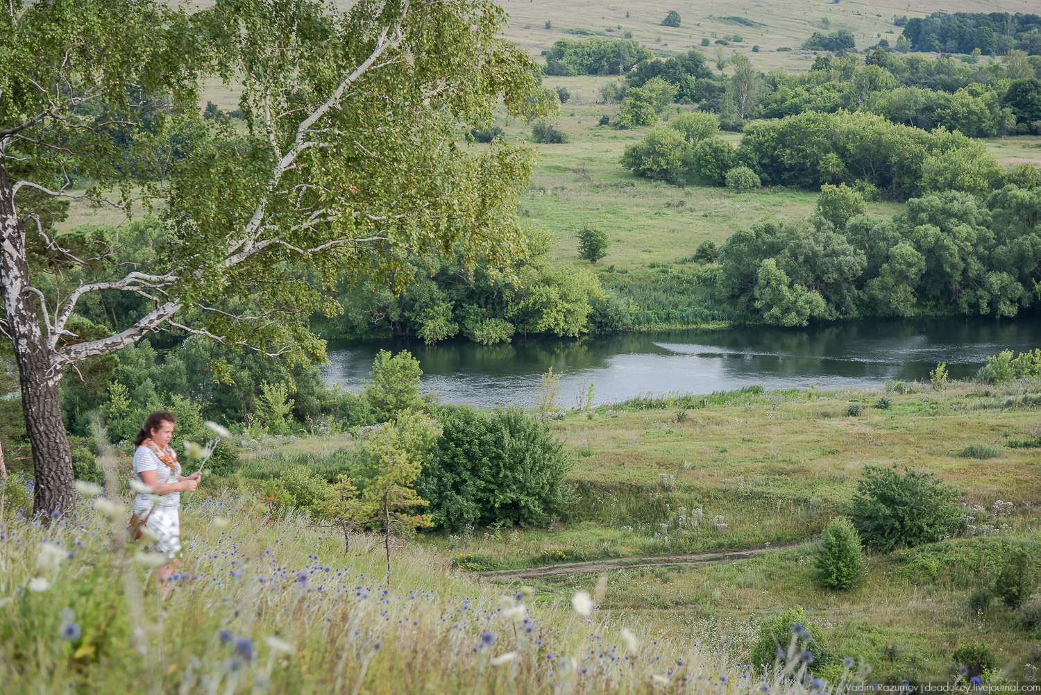 Липецкие усадьбы, Баловнево, Полибино, путешествие, экскурсия Усадебный экспресс