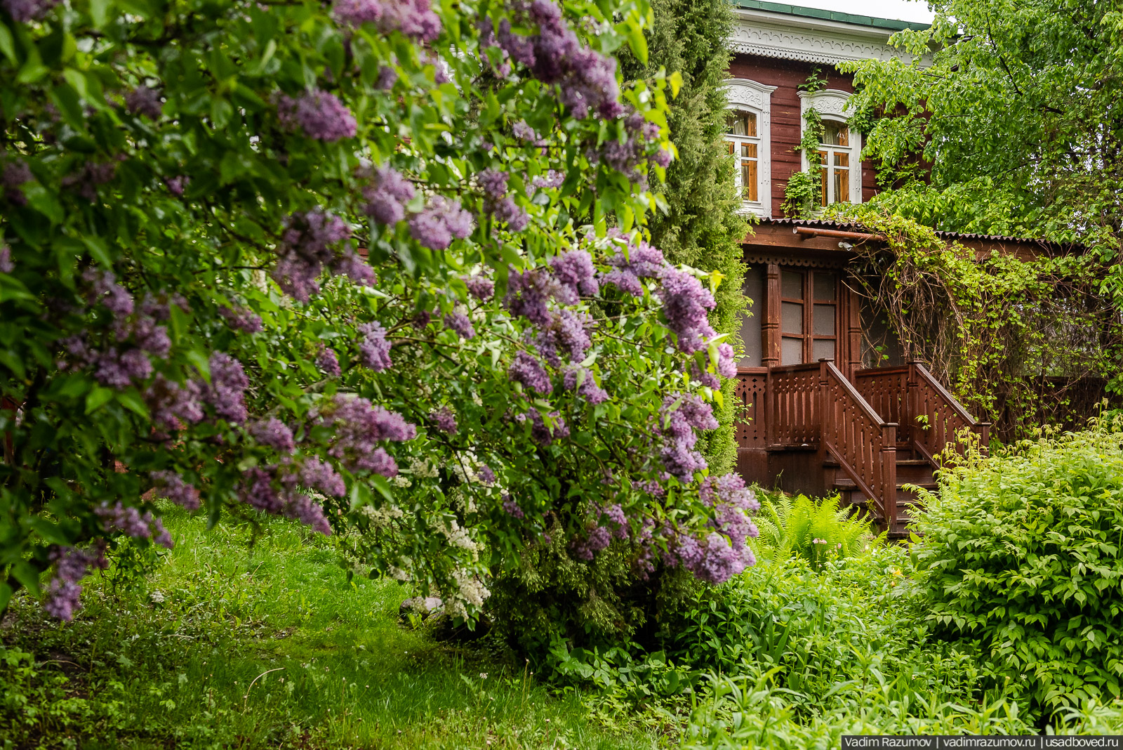 Усадьба фабриканта Думнова в Заречье, Владимирская область. Цветение сирени, сады