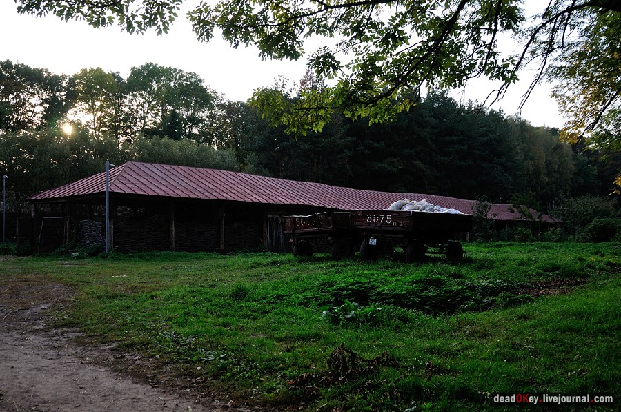 усадьба Ясная Поляна