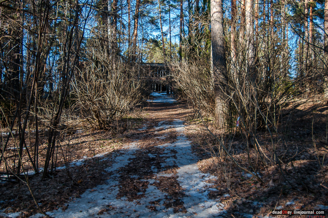 ПИОНЕРСКИЙ ЛАГЕРЬ ДРУЖБА ИМ. А.П. ГАЙДАРА
