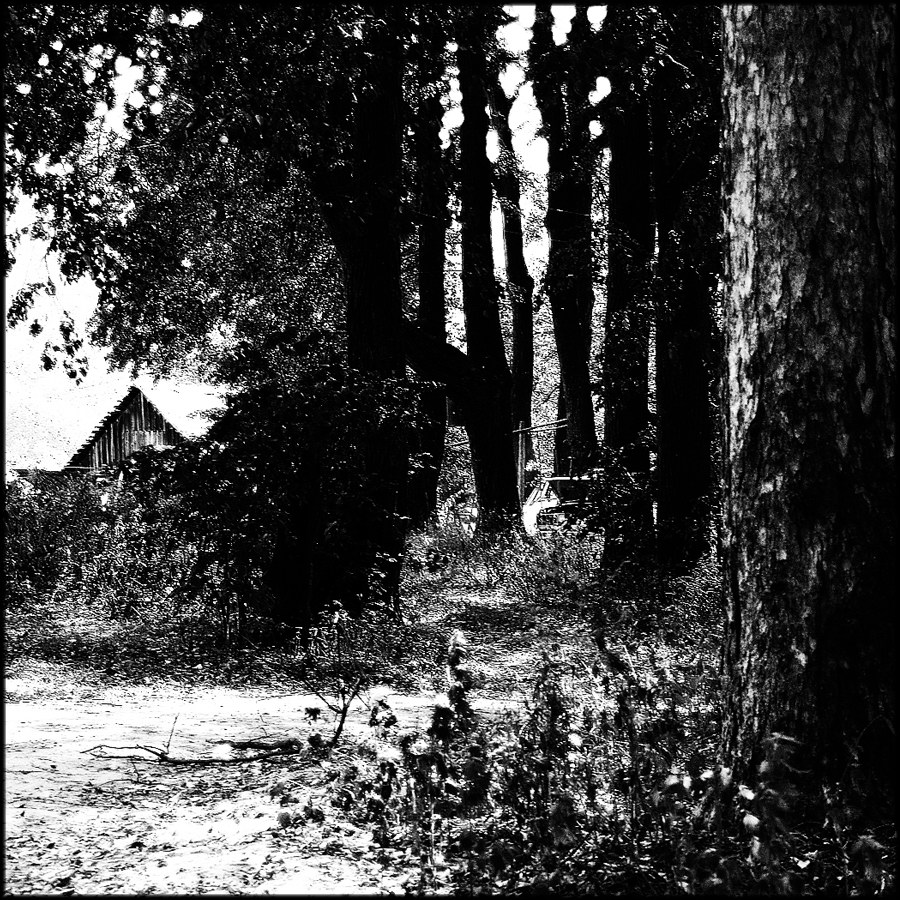 Парковые аллеи в русских усадьбах