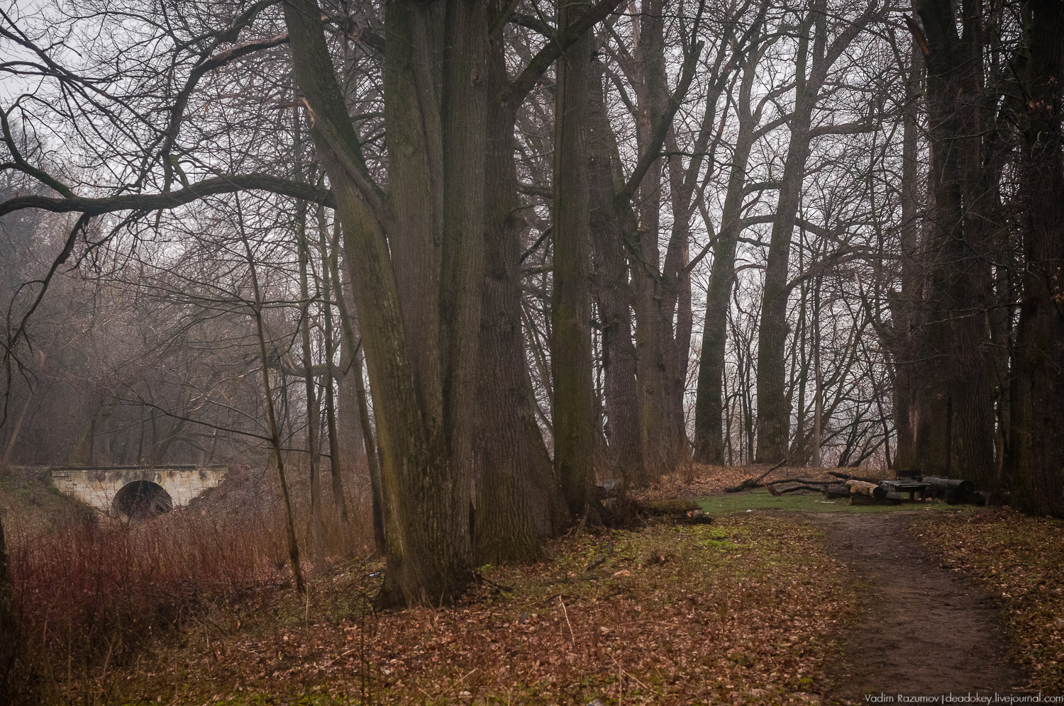 усадьба Петрово (Дурнево, Петрово-Дальнее), Красногорский район, Московская область