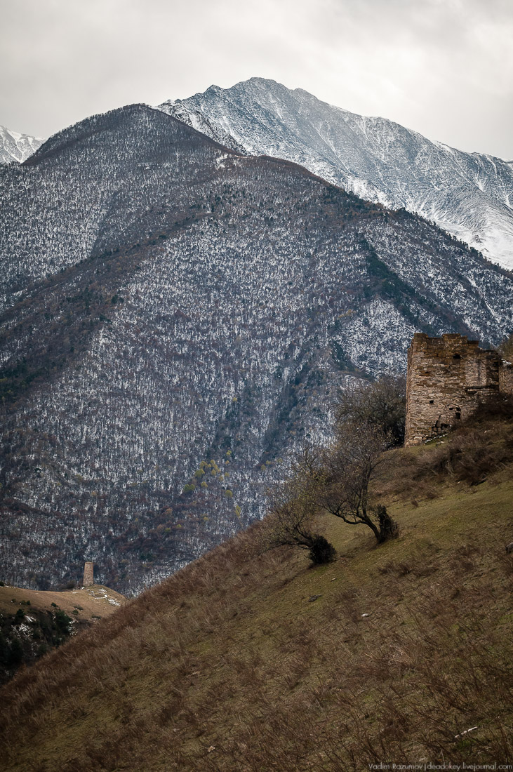 Башенный комплекс Фалхан, Ингушетия, Джейрахское ущелье.