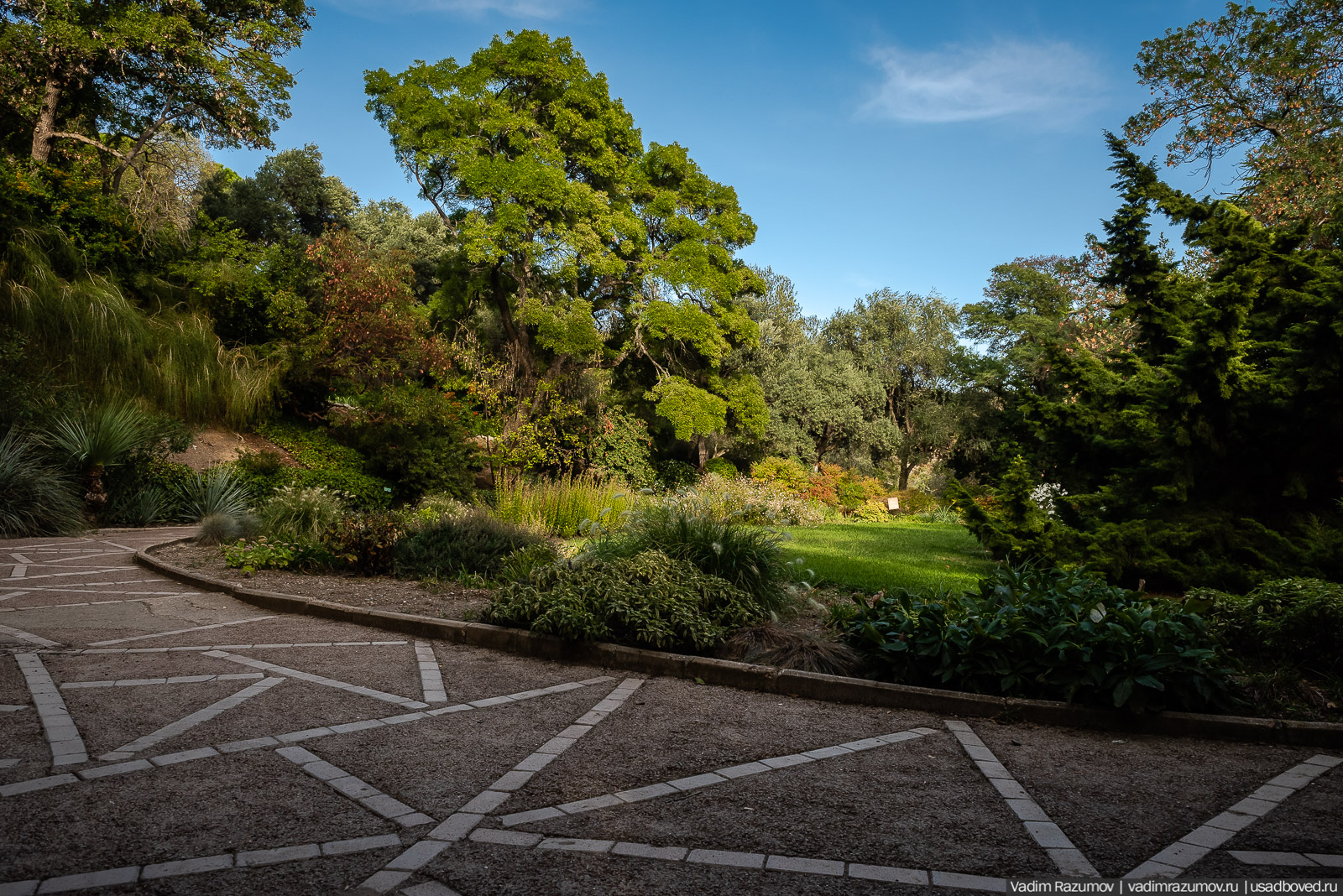 Никитский ботанический сад