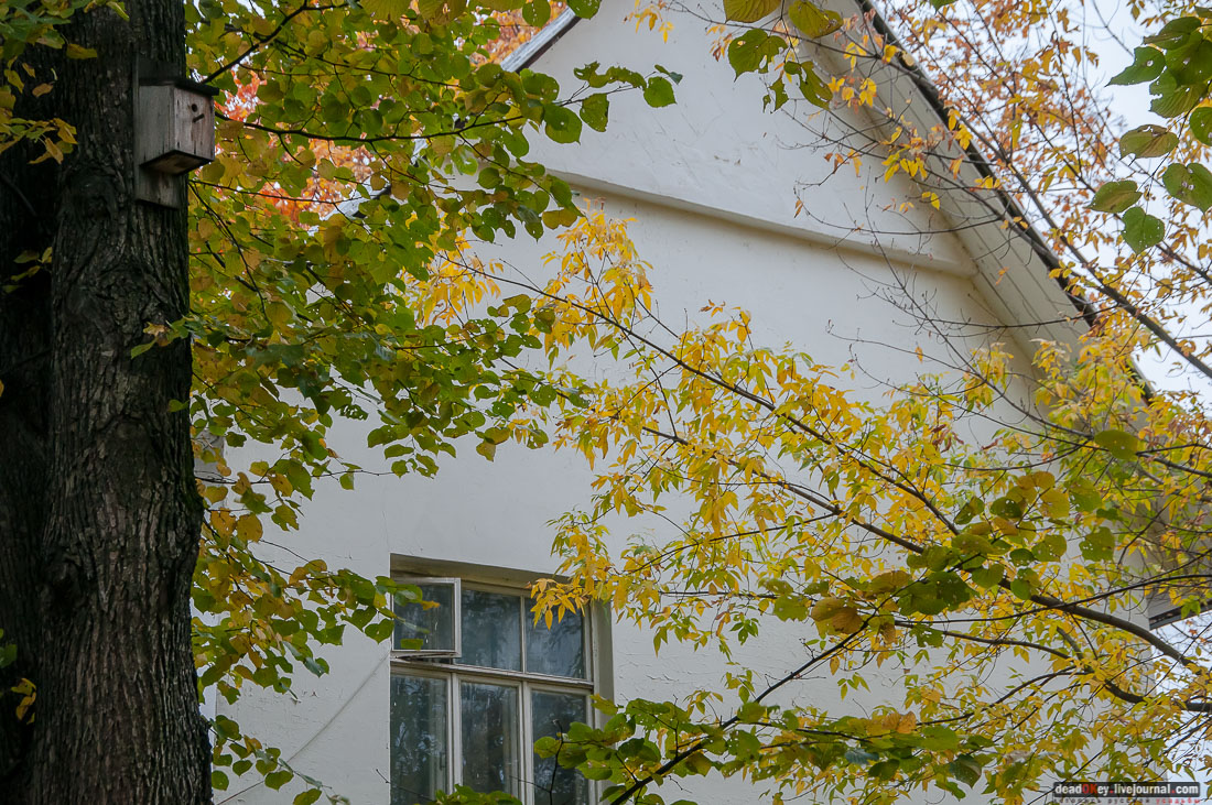 кооперативный поселок Сокол, поселок художников, Москва