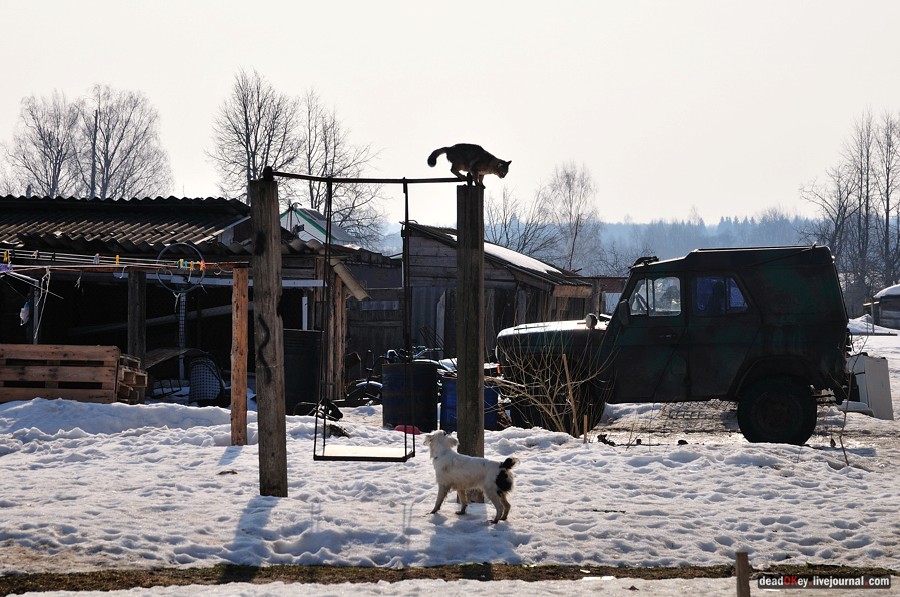 усадьба Даниловское