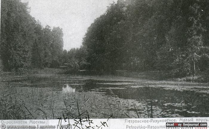 усадьба Петровское-Разумовское