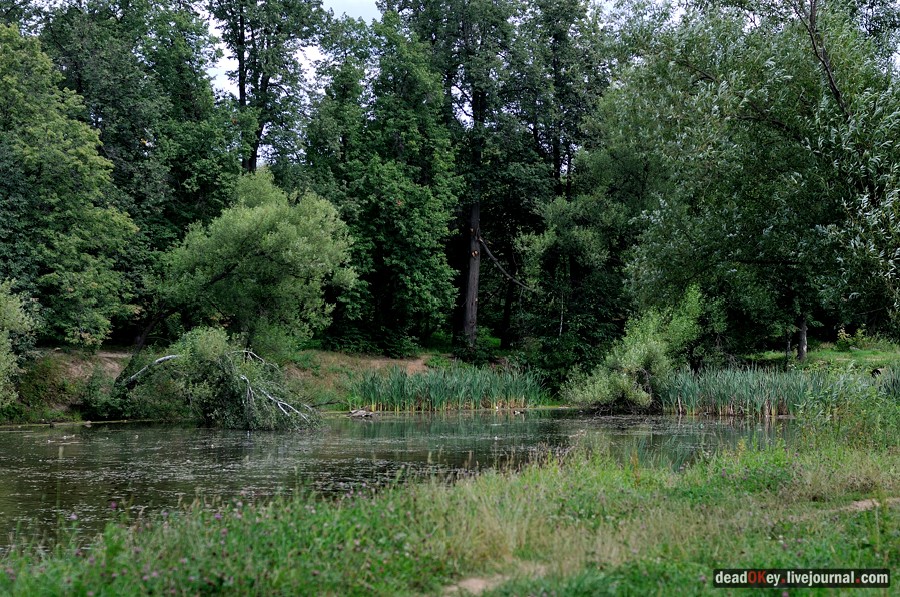 усадьба Троицкое (Мосрентген)