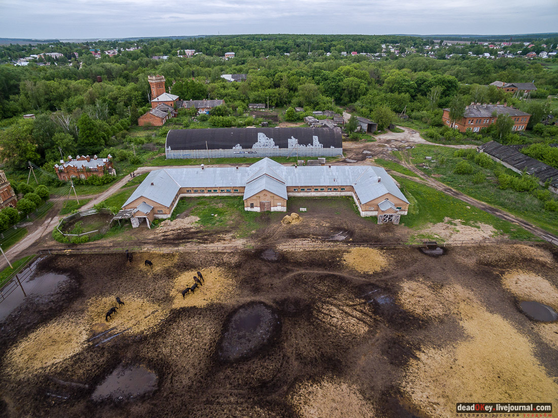 усадьба Старожилово с квадрокоптера