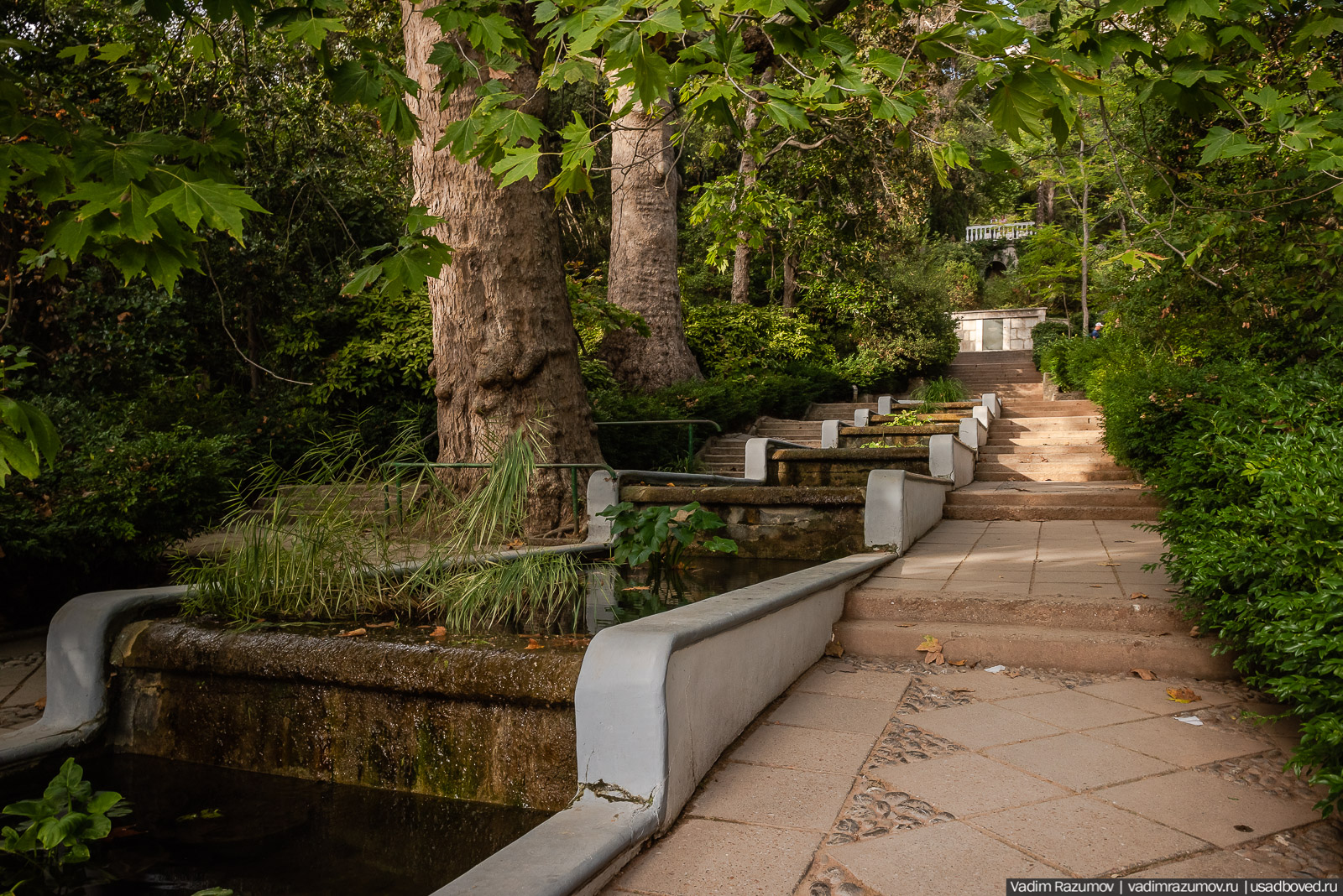 Никитский ботанический сад