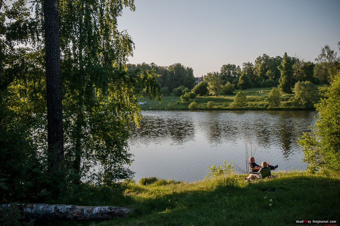 Пейзажный парк в усадьбе Гребнево