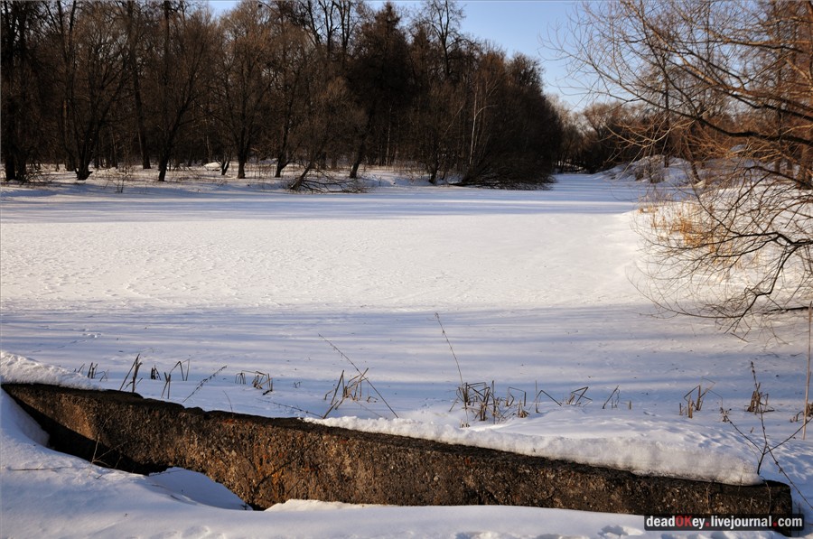 усадьба Федино